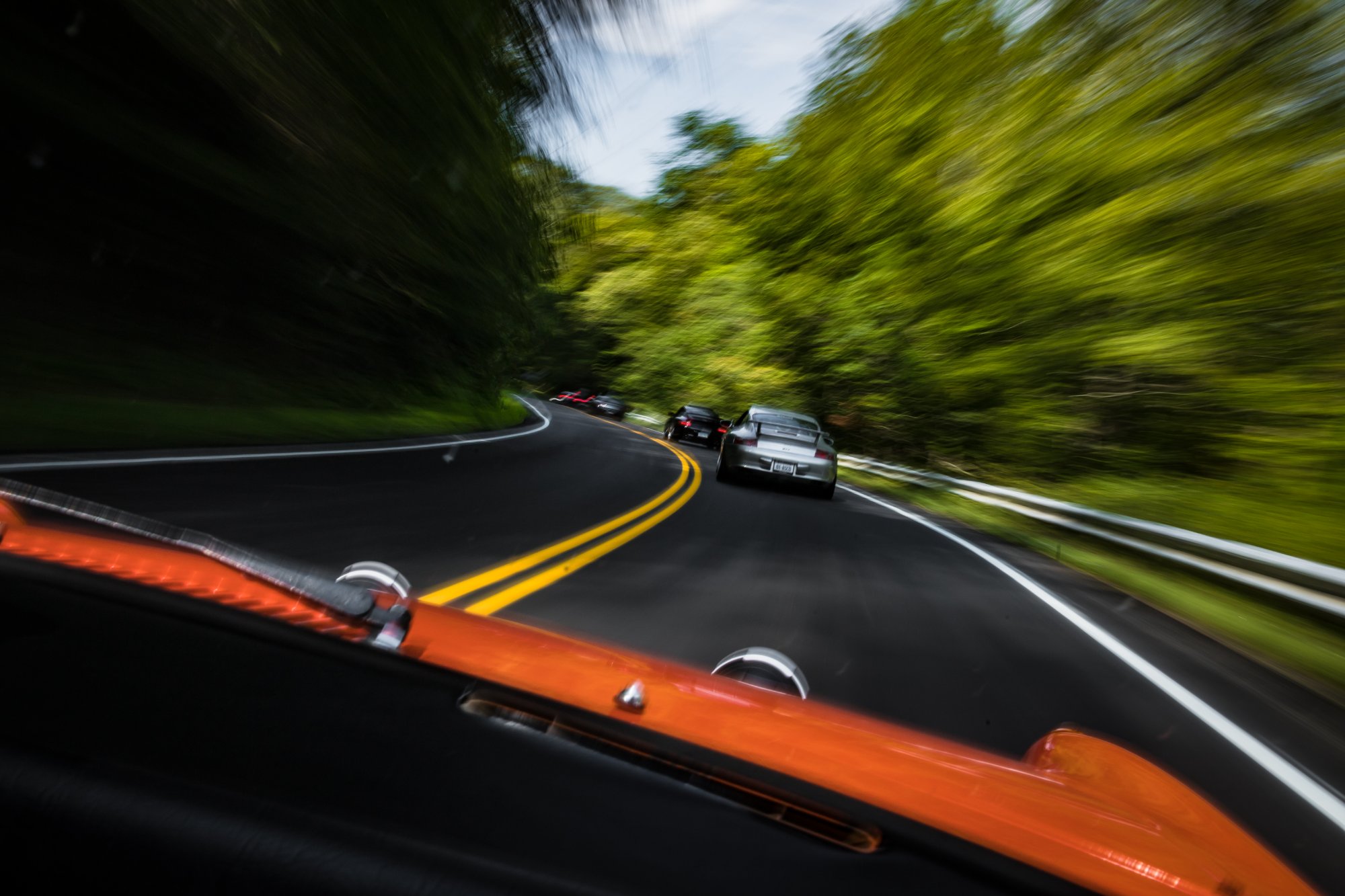 POV driving shot — winding road through trees